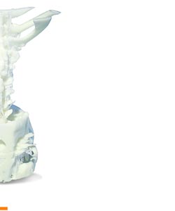 3d medical windpipe